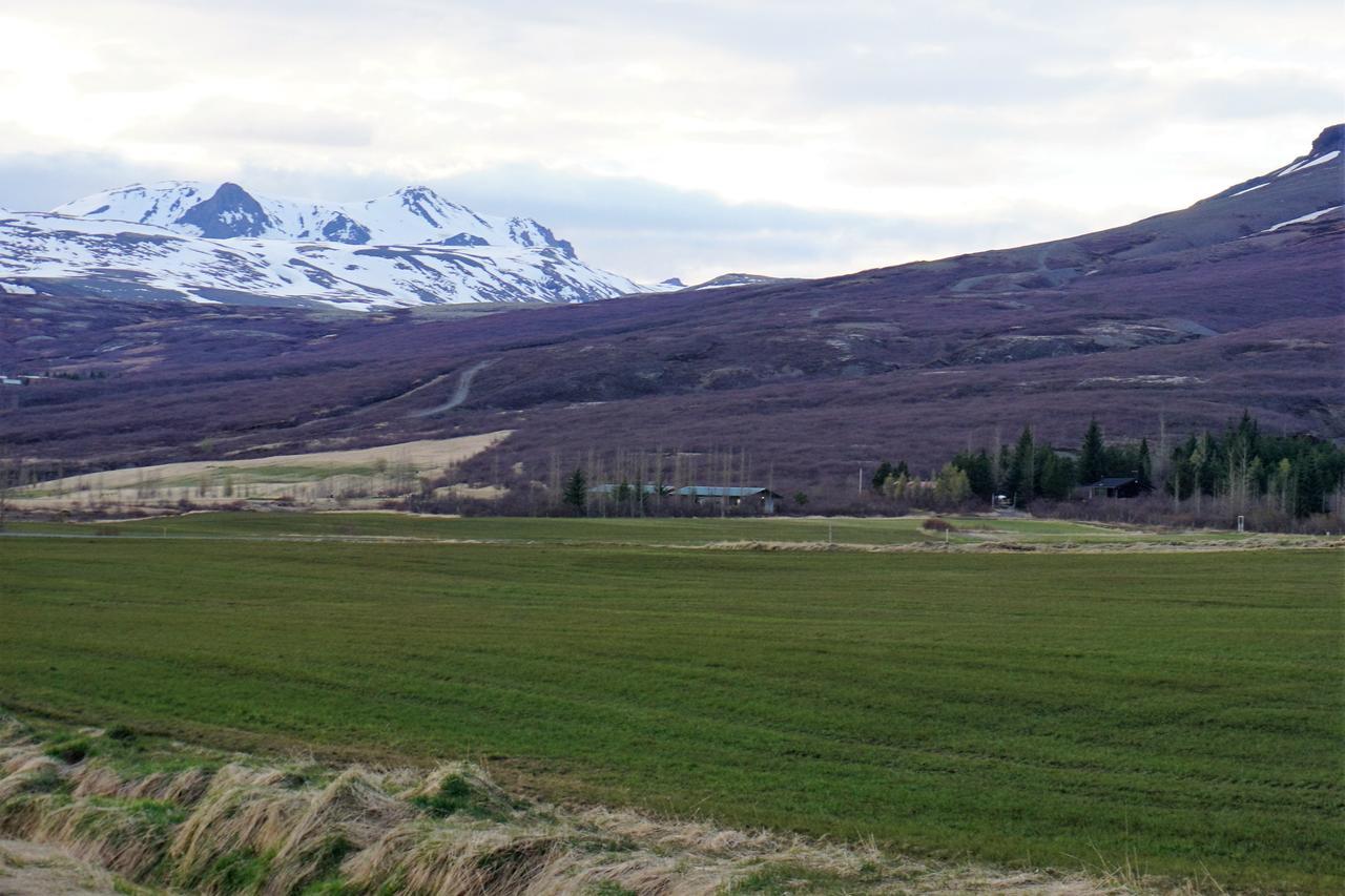 Middalskot Cottages Laugarvatn Esterno foto